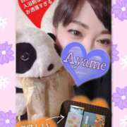 ヒメ日記 2025/05/29 09:56 投稿 加藤あやめ クラブ華