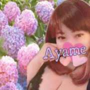 ヒメ日記 2025/06/19 11:20 投稿 加藤あやめ クラブ華