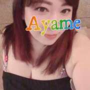 ヒメ日記 2025/06/19 11:57 投稿 加藤あやめ クラブ華