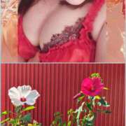 ヒメ日記 2025/09/10 09:53 投稿 加藤あやめ クラブ華