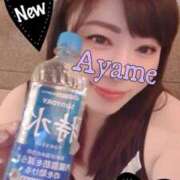 ヒメ日記 2025/10/29 09:40 投稿 加藤あやめ クラブ華