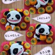 ヒメ日記 2025/12/02 09:38 投稿 加藤あやめ クラブ華