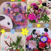 ヒメ日記 2025/12/03 13:01 投稿 加藤あやめ クラブ華