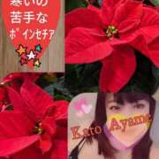 ヒメ日記 2025/12/06 06:30 投稿 加藤あやめ クラブ華