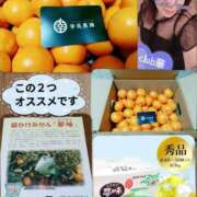 ヒメ日記 2025/12/07 09:01 投稿 加藤あやめ クラブ華