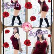 ヒメ日記 2025/12/10 14:39 投稿 加藤あやめ クラブ華