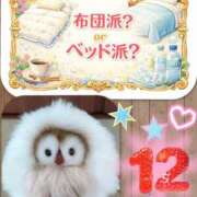 ヒメ日記 2025/12/29 09:01 投稿 加藤あやめ クラブ華