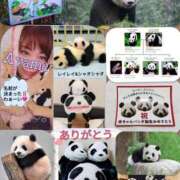 ヒメ日記 2026/01/24 14:10 投稿 加藤あやめ クラブ華