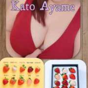 ヒメ日記 2026/01/24 17:56 投稿 加藤あやめ クラブ華