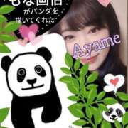 ヒメ日記 2026/01/25 11:37 投稿 加藤あやめ クラブ華