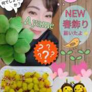 ヒメ日記 2026/02/01 23:13 投稿 加藤あやめ クラブ華