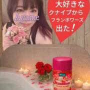 ヒメ日記 2026/02/19 11:47 投稿 加藤あやめ クラブ華