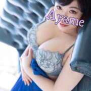 ヒメ日記 2026/03/18 10:11 投稿 加藤あやめ クラブ華