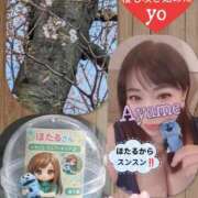 ヒメ日記 2026/03/23 13:06 投稿 加藤あやめ クラブ華