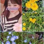 ヒメ日記 2026/04/13 11:26 投稿 加藤あやめ クラブ華