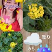 ヒメ日記 2026/04/15 10:56 投稿 加藤あやめ クラブ華