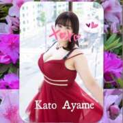 ヒメ日記 2026/04/18 10:16 投稿 加藤あやめ クラブ華