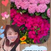 ヒメ日記 2026/06/06 09:28 投稿 加藤あやめ クラブ華