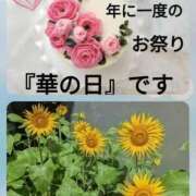ヒメ日記 2026/08/07 10:47 投稿 加藤あやめ クラブ華