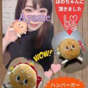 加藤あやめ 🩷バーガー🍔さん🩷 クラブ華
