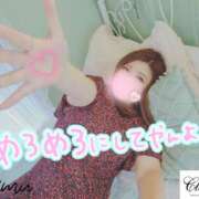 ヒメ日記 2024/12/10 02:53 投稿 あさの来夢 クラブ華