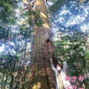 ヒメ日記 2024/12/11 03:02 投稿 あさの来夢 クラブ華