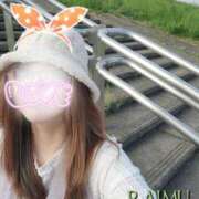 ヒメ日記 2024/12/12 08:34 投稿 あさの来夢 クラブ華