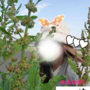 ヒメ日記 2025/03/13 08:36 投稿 あさの来夢 クラブ華