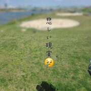 ヒメ日記 2025/04/12 21:06 投稿 あさの来夢 クラブ華