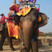 ヒメ日記 2025/05/01 23:30 投稿 あさの来夢 クラブ華