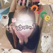 ヒメ日記 2025/05/05 02:42 投稿 あさの来夢 クラブ華