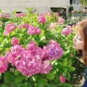 ヒメ日記 2025/05/28 14:13 投稿 あさの来夢 クラブ華