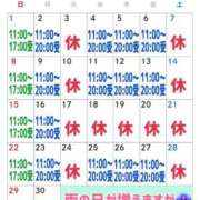 ヒメ日記 2025/06/04 08:35 投稿 あさの来夢 クラブ華