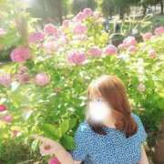 ヒメ日記 2025/06/09 07:18 投稿 あさの来夢 クラブ華