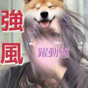 ヒメ日記 2025/07/14 08:26 投稿 あさの来夢 クラブ華