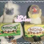 ヒメ日記 2025/12/10 23:59 投稿 あさの来夢 クラブ華