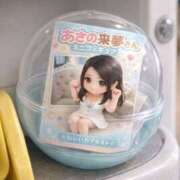 ヒメ日記 2026/02/05 08:33 投稿 あさの来夢 クラブ華