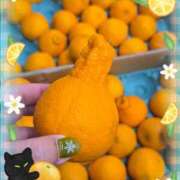 ヒメ日記 2026/02/25 02:50 投稿 あさの来夢 クラブ華