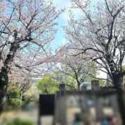 ヒメ日記 2026/04/02 14:58 投稿 あさの来夢 クラブ華