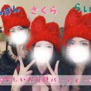 ヒメ日記 2026/04/02 15:19 投稿 あさの来夢 クラブ華