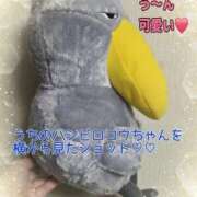 ヒメ日記 2026/04/08 08:05 投稿 あさの来夢 クラブ華