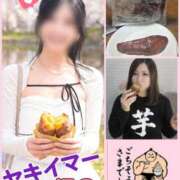 ヒメ日記 2026/04/12 12:50 投稿 あさの来夢 クラブ華