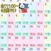 ヒメ日記 2026/04/25 07:50 投稿 あさの来夢 クラブ華