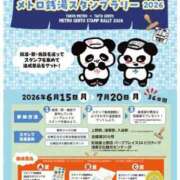 ヒメ日記 2026/06/15 14:50 投稿 あさの来夢 クラブ華