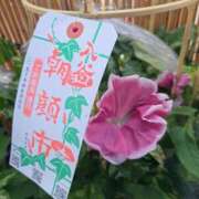 ヒメ日記 2026/07/09 23:55 投稿 あさの来夢 クラブ華