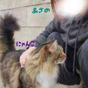 ヒメ日記 2026/07/31 23:06 投稿 あさの来夢 クラブ華