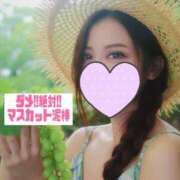 ヒメ日記 2026/08/11 12:18 投稿 あさの来夢 クラブ華