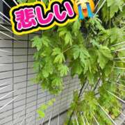 ヒメ日記 2026/09/10 10:23 投稿 あさの来夢 クラブ華