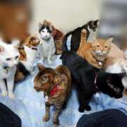 ヒメ日記 2024/12/09 17:00 投稿 辻レイナ クラブ華