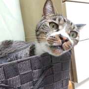 ヒメ日記 2024/12/10 17:00 投稿 辻レイナ クラブ華